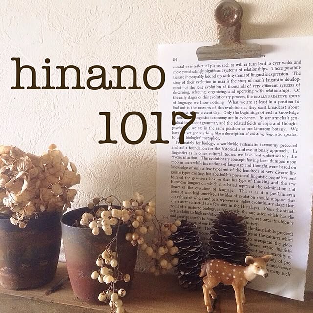 hinano1017さんの実例写真