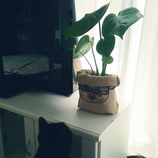 kuuaさんの実例写真