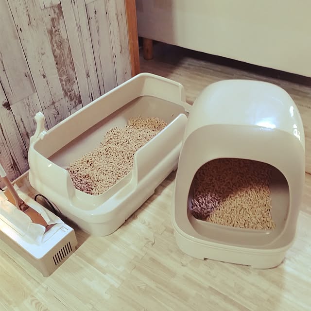 runaさんの部屋