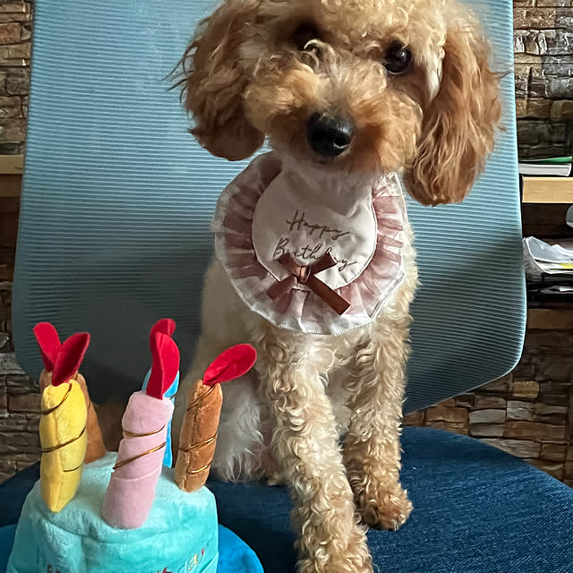 chIoeさんの部屋