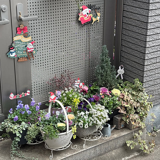 maayaさんの部屋