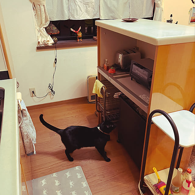 jijiさんの実例写真