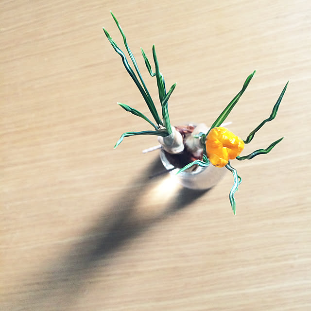 chir00mさんの実例写真