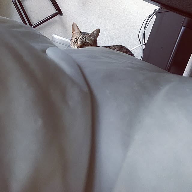 sayasさんの実例写真