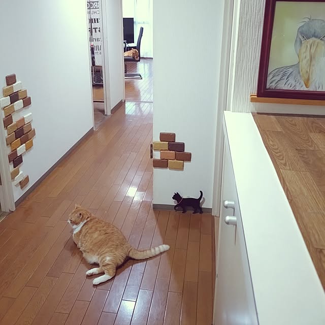 NOAHさんの実例写真