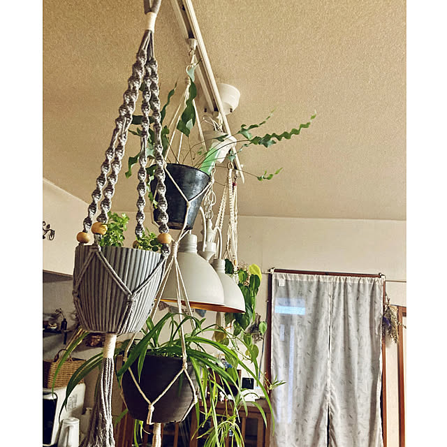CoCo0617さんの部屋