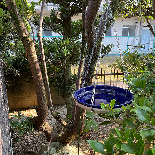 shin0719さんの実例写真