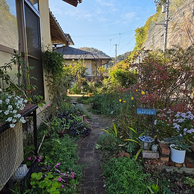 hiroさんの実例写真