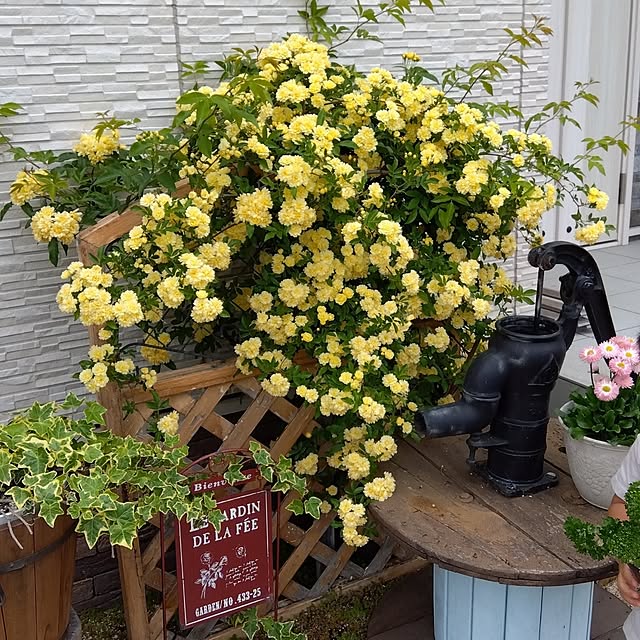 H+M+S...HappyLife...さんの実例写真