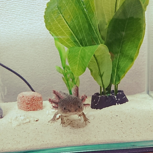 takiさんの実例写真