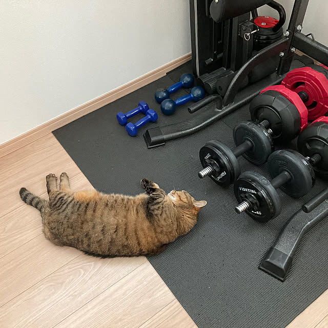 kirinsanさんの部屋