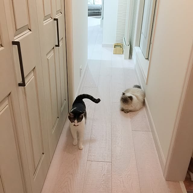 yuchiさんの実例写真