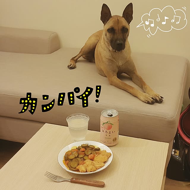 hahamiya365さんの実例写真
