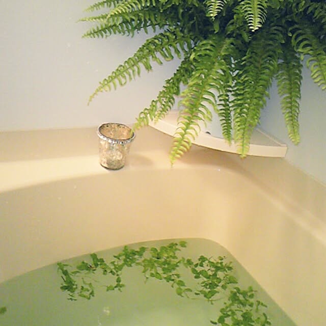 Chihiroさんの実例写真