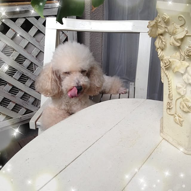 Naomiさんの実例写真