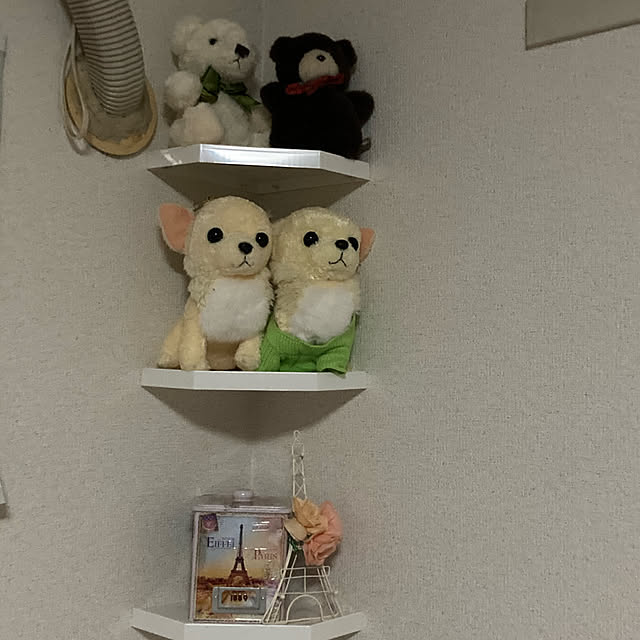 runahimeさんの実例写真