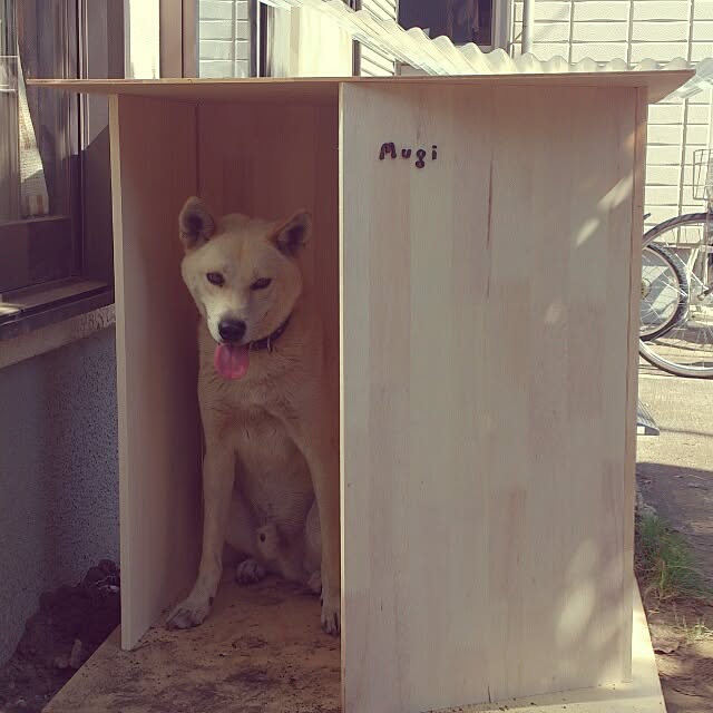 mugiinaさんの実例写真