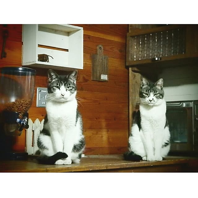 yukiさんの実例写真