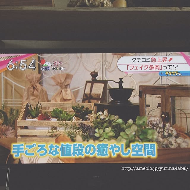 Yurinaさんの実例写真