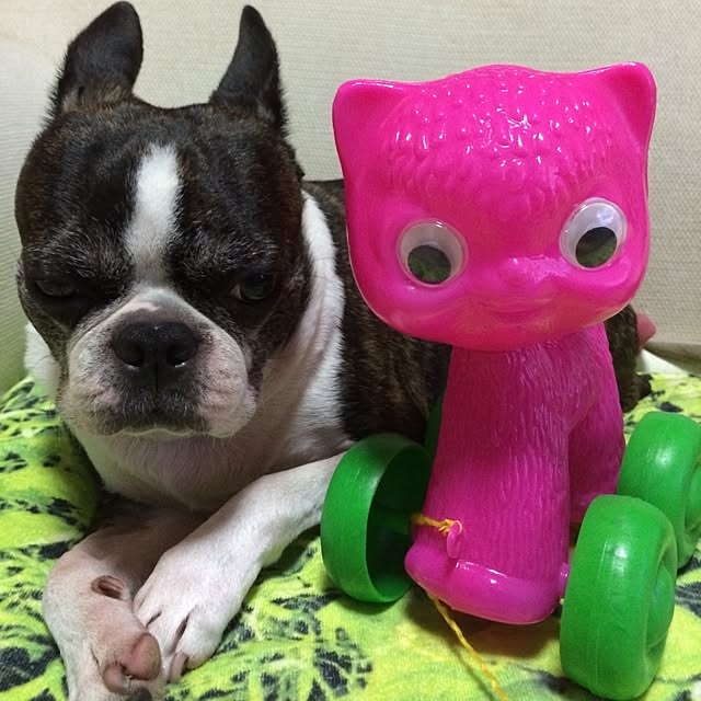 tubutanさんの実例写真