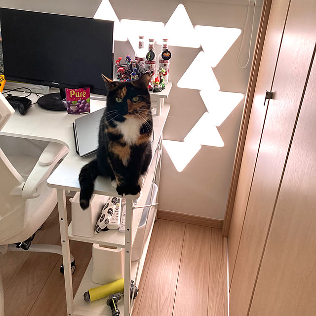 kirinsanさんの部屋