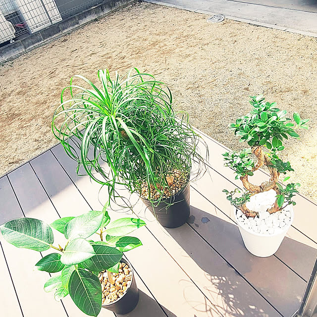 r0siereさんの実例写真