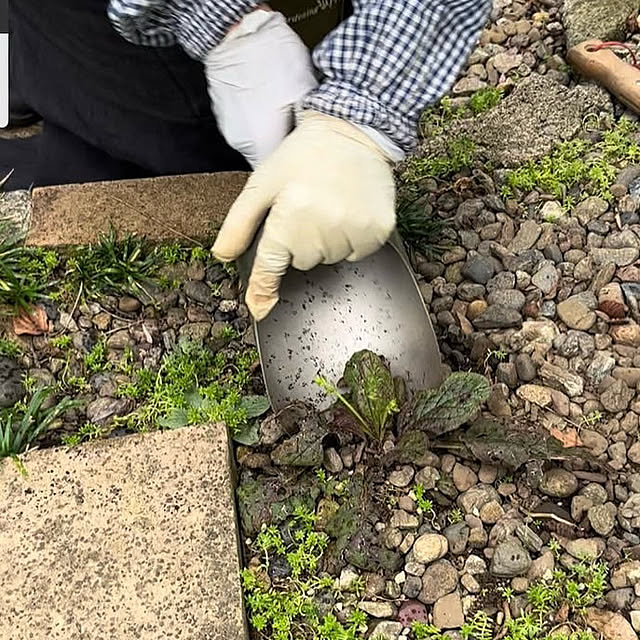 Royal_Gardeners_Clubさんの部屋