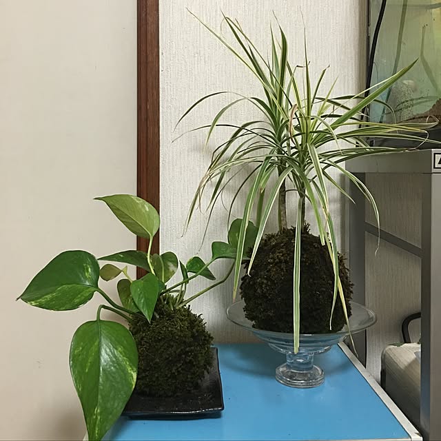 Keisukeさんの実例写真