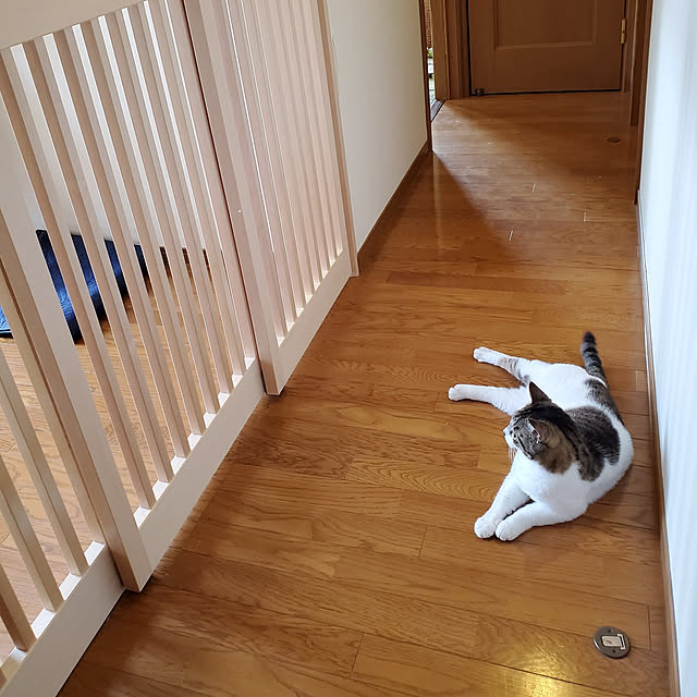 hiroさんの実例写真