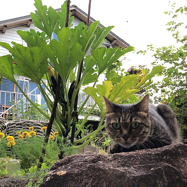 weさんの実例写真