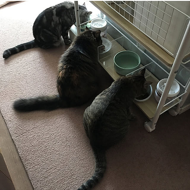 mikomaruさんの実例写真
