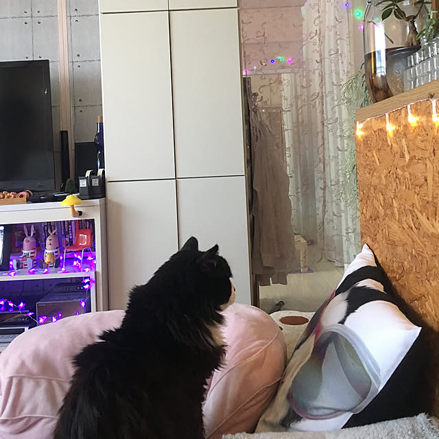 kanaさんの実例写真