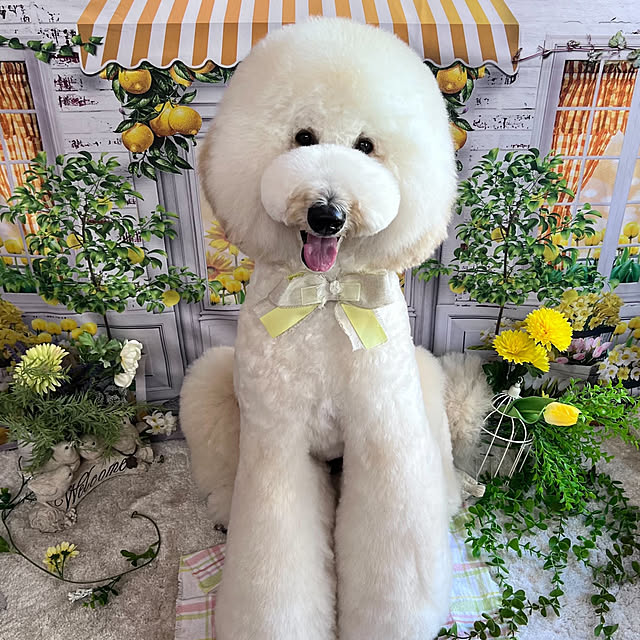 nackeyさんの実例写真