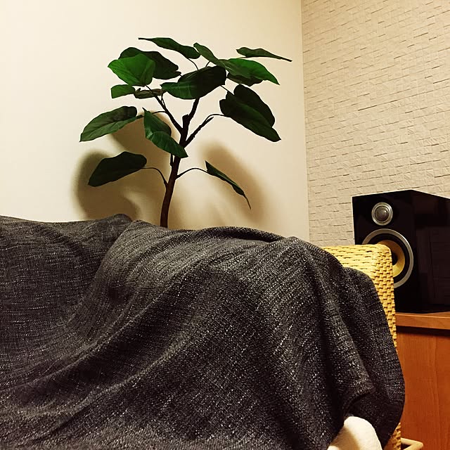 akeeさんの実例写真