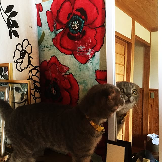 yuriarikaさんの実例写真