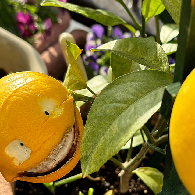 syutmmさんの部屋