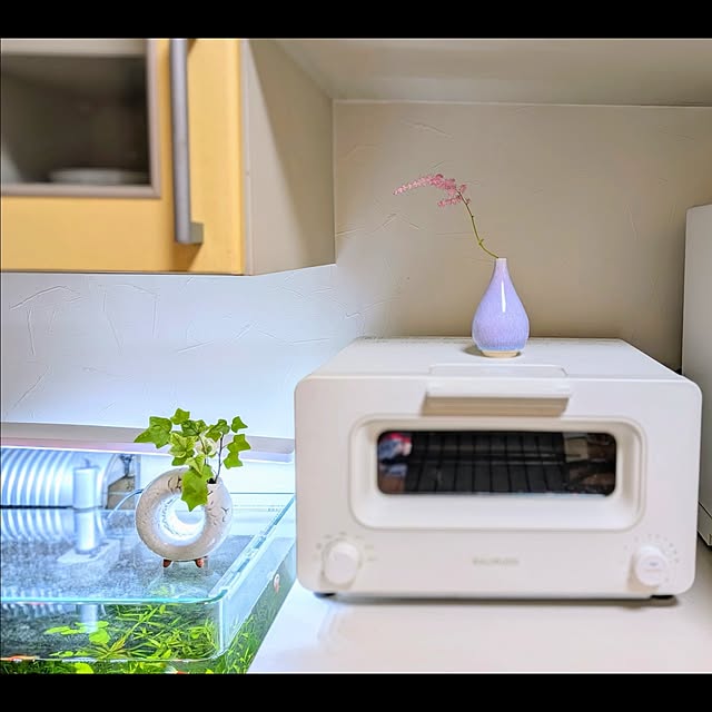 aromameさんの部屋