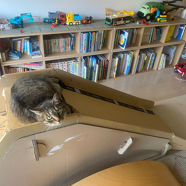 mikomaruさんの実例写真