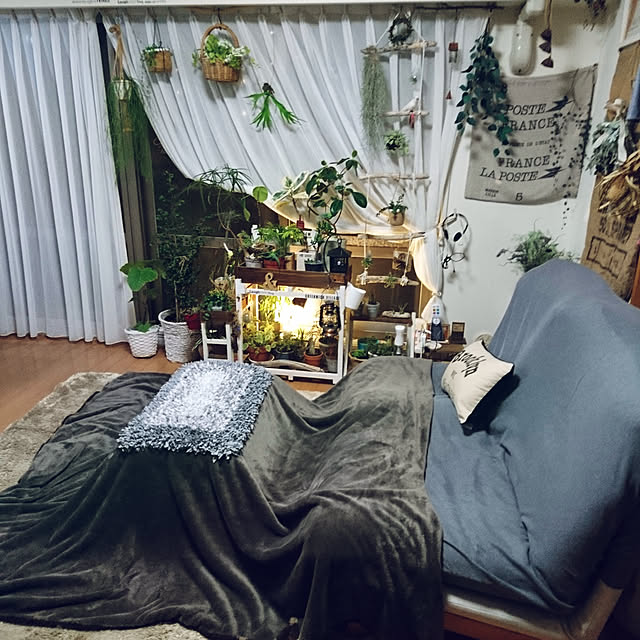 satominさんの実例写真