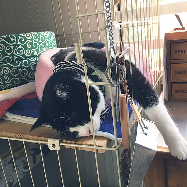 mametaroさんの実例写真