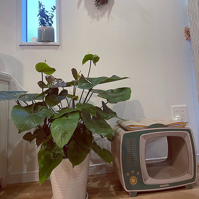 Kaorinさんの実例写真