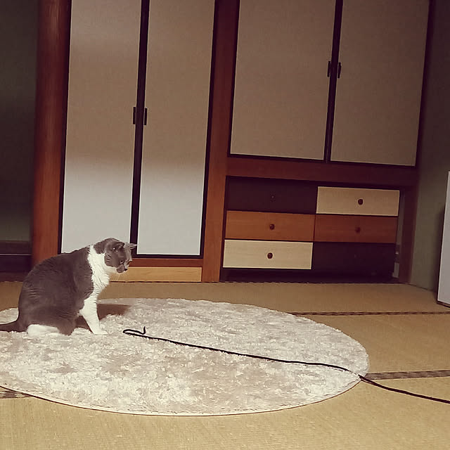 rhuさんの実例写真