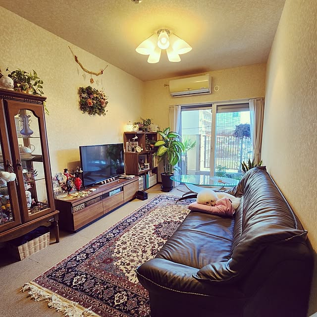 takoさんの実例写真