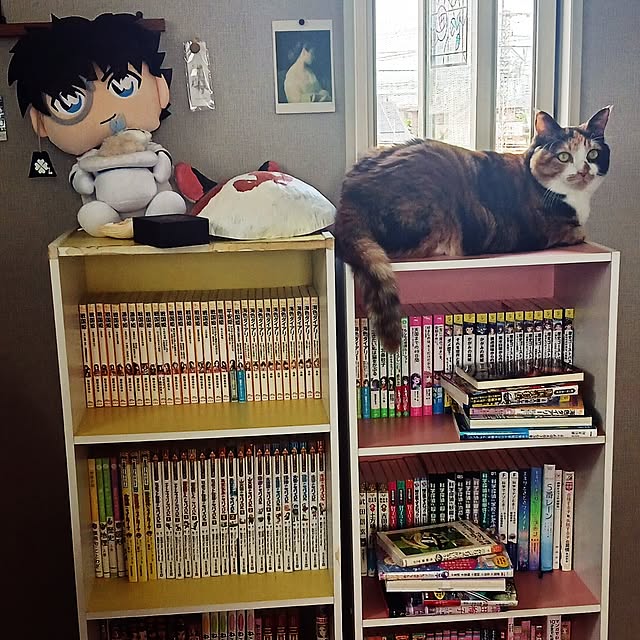 aiさんの実例写真