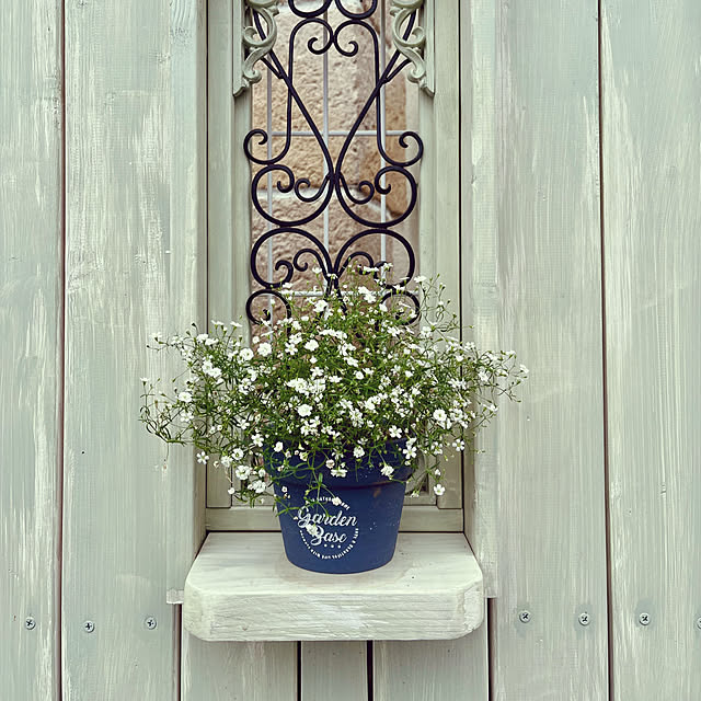 seiseiさんの実例写真