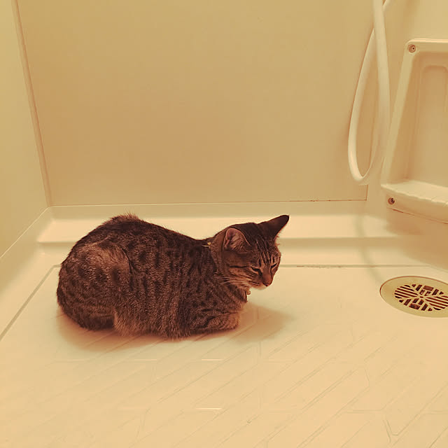 Mさんの実例写真