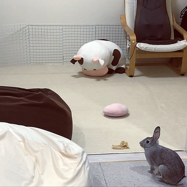 canmilmamaさんの実例写真