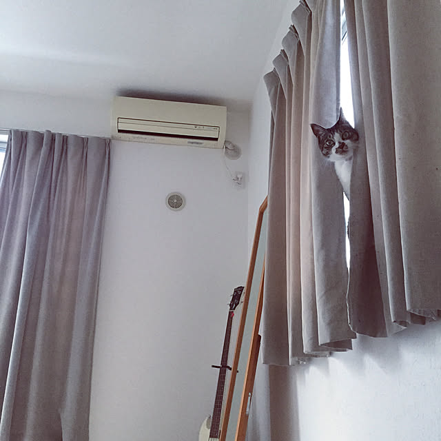 JUENさんの実例写真