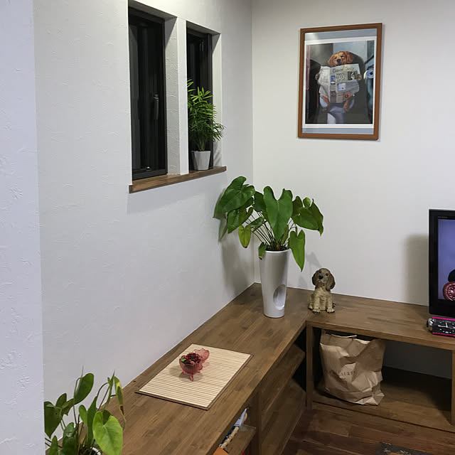 壁/天井/お気に入り犬の絵/観葉植物のインテリア実例 - 2018-04-28 06:28:30