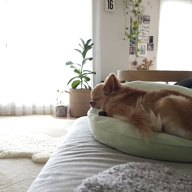 haruhinaさんの実例写真
